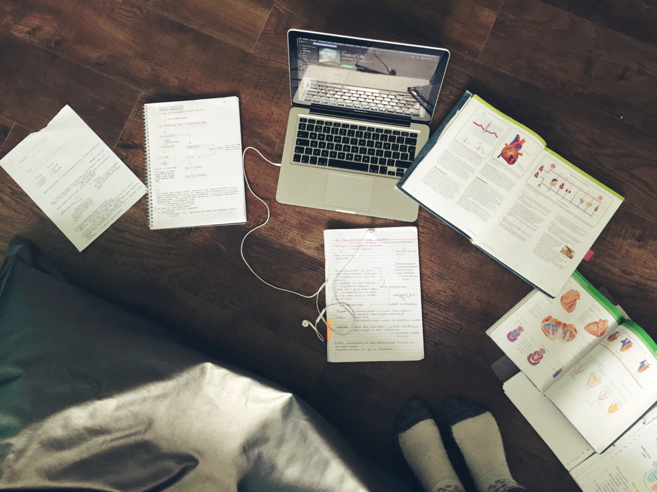 dissertation 3