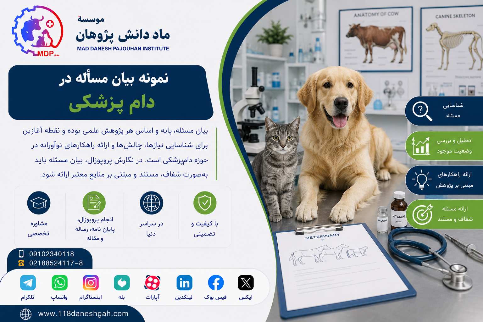 Problem Statement Sample for Veterinary Medicine Research Proposals